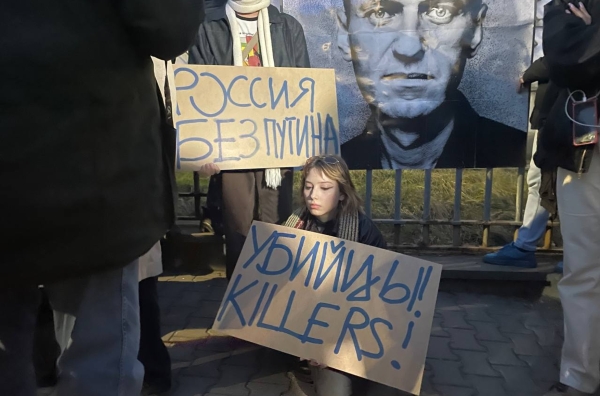 Бывшая невестка Жириновского Надежда Гришаева пыталась удалить расследование об отмывании денег покойного лидера ЛДПР в Европе из интернета